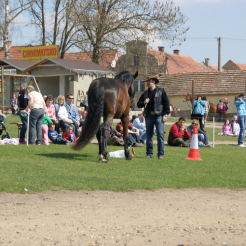   Horsemaship - práce ve volnosti - ukázka v ŘEDHOŠTI 16.4.2011